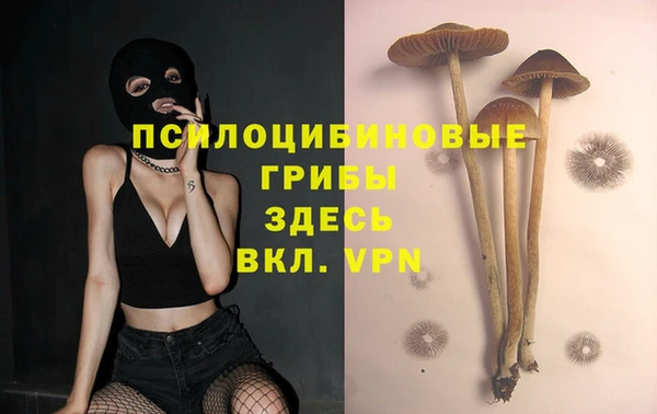 мет Каменногорск