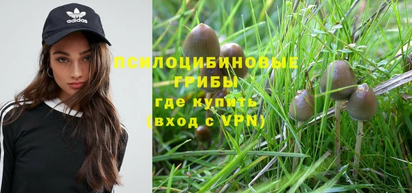 наркотики Каменка